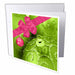 image of 6 Greeting Cards with envelopes