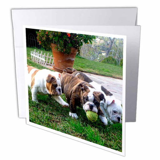 image of 6 Greeting Cards with envelopes