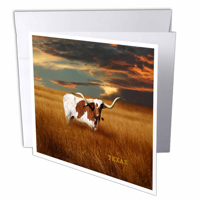 image of 6 Greeting Cards with envelopes