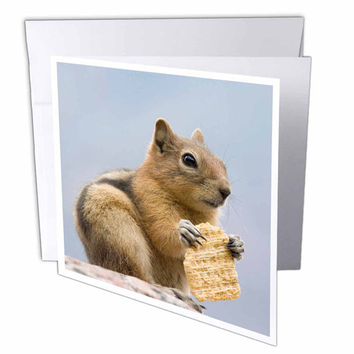 image of 1 Greeting Card with envelope