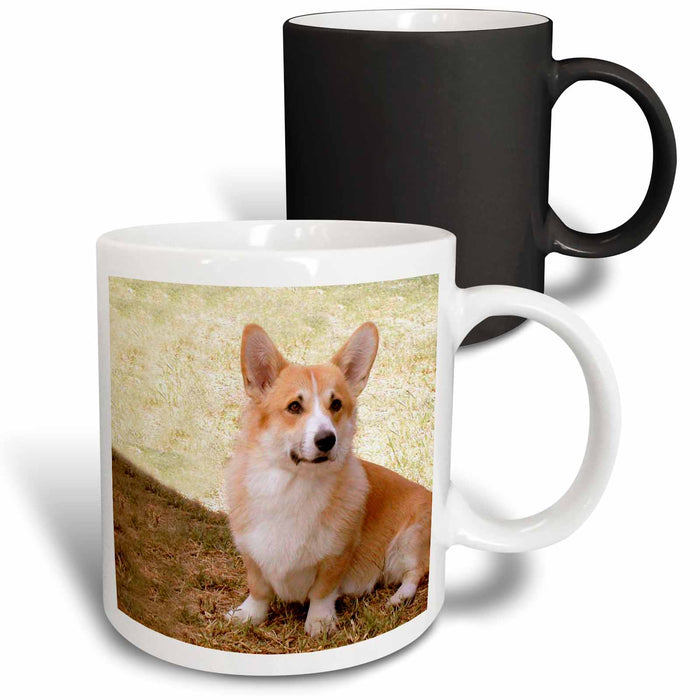 image of 11oz Magic Transforming Mug