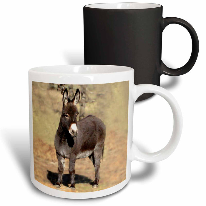 image of 11oz Magic Transforming Mug