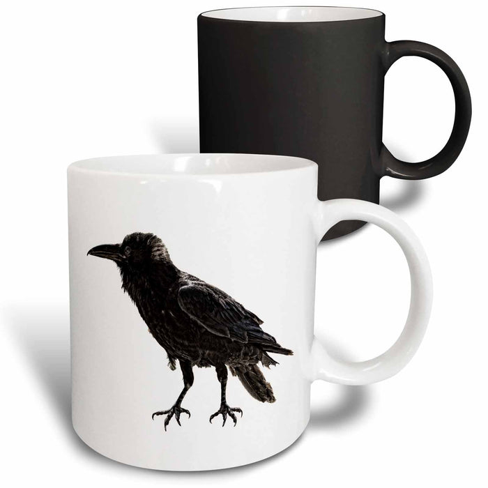 image of 11oz Magic Transforming Mug