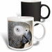 image of 11oz Magic Transforming Mug