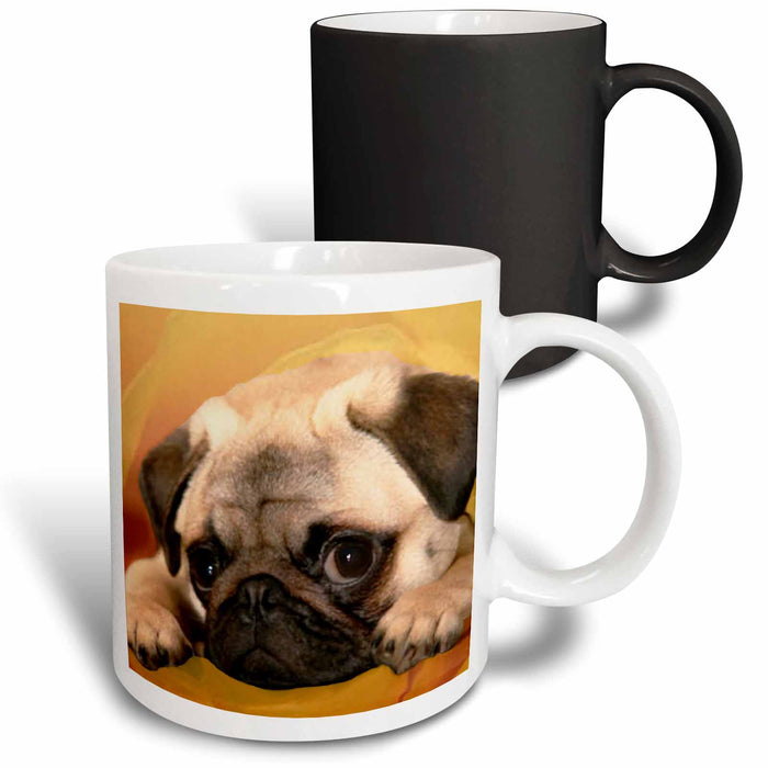 image of 11oz Magic Transforming Mug