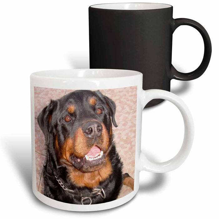 image of 11oz Magic Transforming Mug