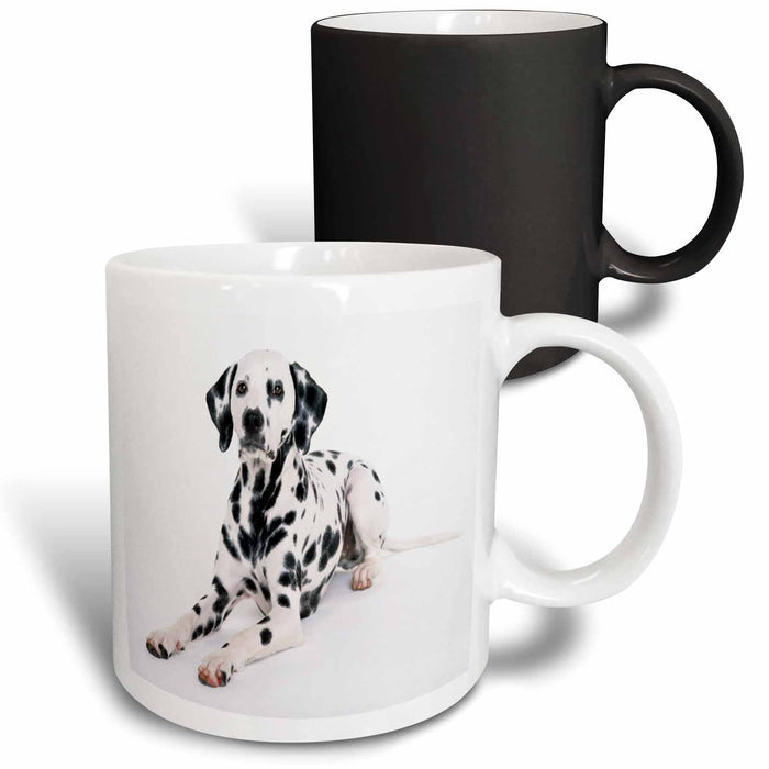 image of 11oz Magic Transforming Mug