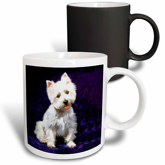 image of 11oz Magic Transforming Mug