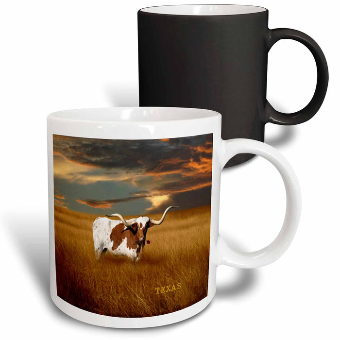 image of 11oz Magic Transforming Mug