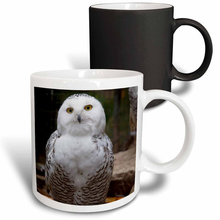 image of 11oz Magic Transforming Mug