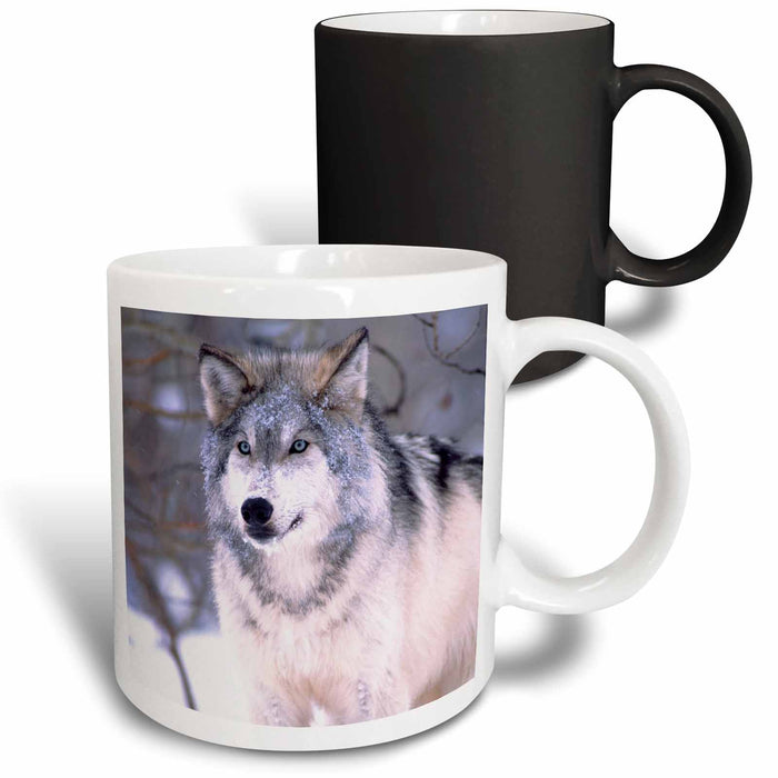 image of 11oz Magic Transforming Mug