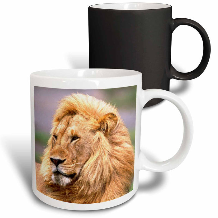 image of 11oz Magic Transforming Mug