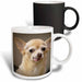 image of 11oz Magic Transforming Mug