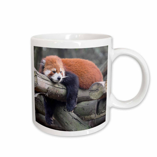 image of 11oz Mug