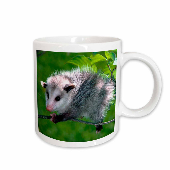 image of 15oz Mug