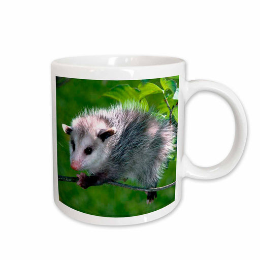 image of 11oz Mug