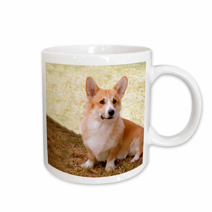 image of 11oz Mug