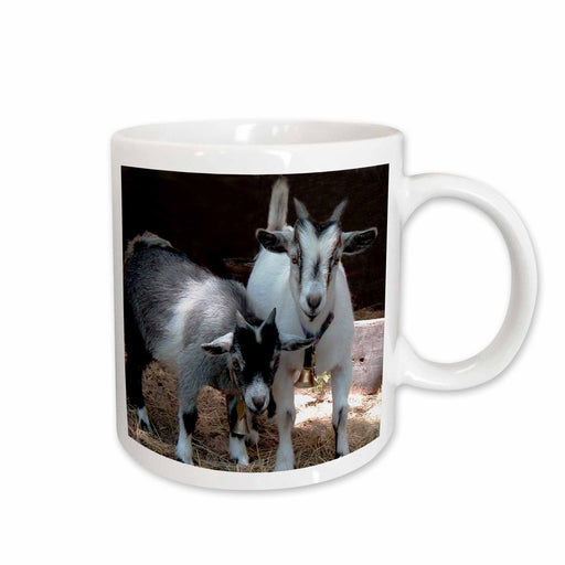 image of 11oz Mug