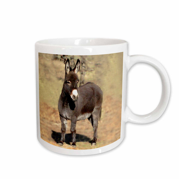 image of 11oz Mug