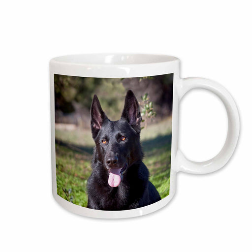 image of 11oz Mug