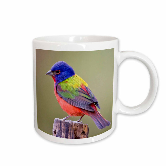 image of 11oz Mug