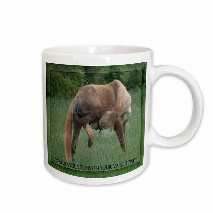 image of 15oz Mug