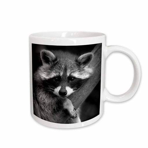 image of 11oz Mug