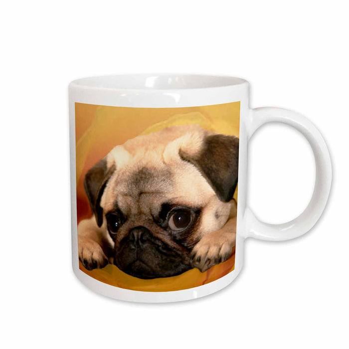 image of 11oz Mug