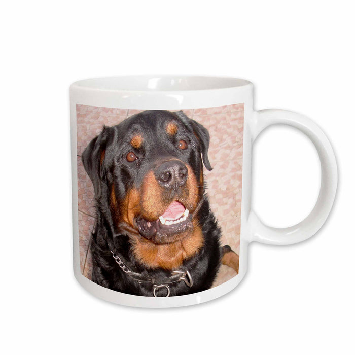 image of 15oz Mug