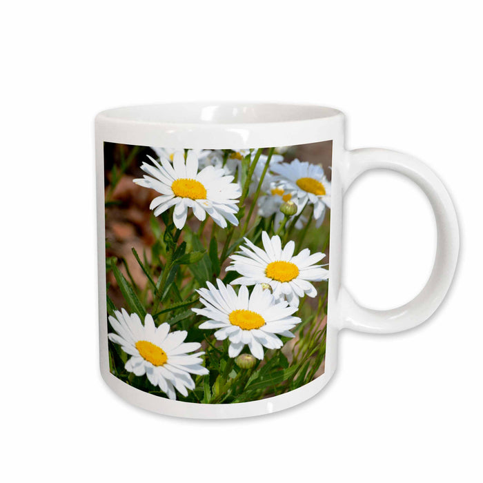 image of 11oz Mug