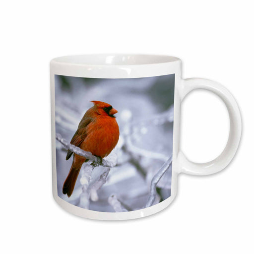 image of 11oz Mug