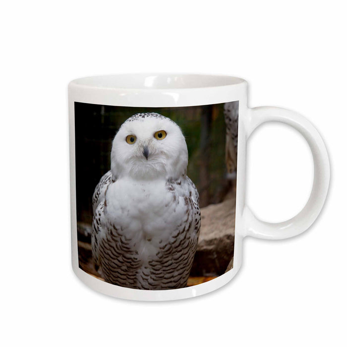 image of 11oz Mug