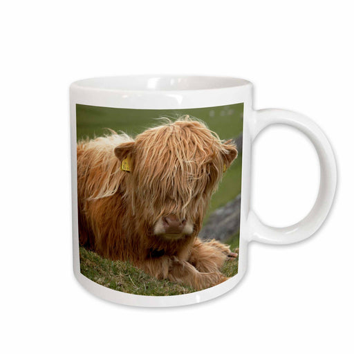 image of 11oz Mug