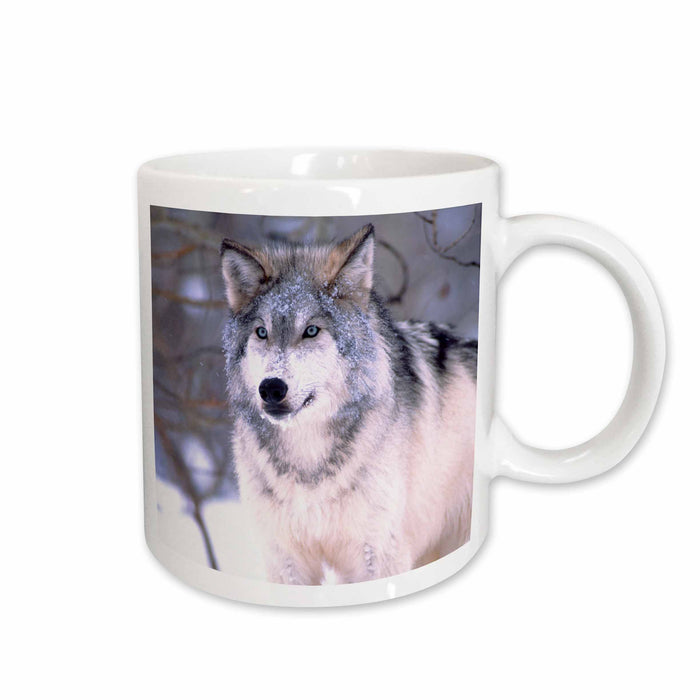 image of 15oz Mug