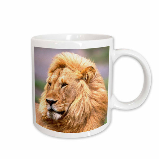 image of 11oz Mug