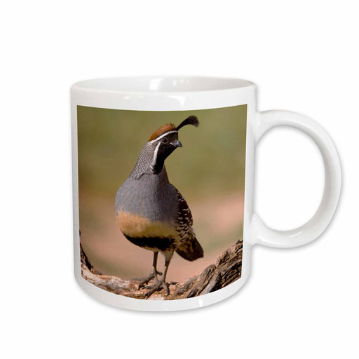 image of 11oz Mug