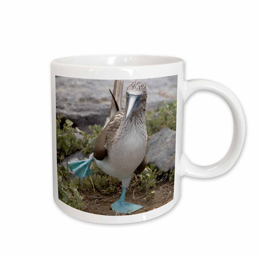 image of 11oz Mug