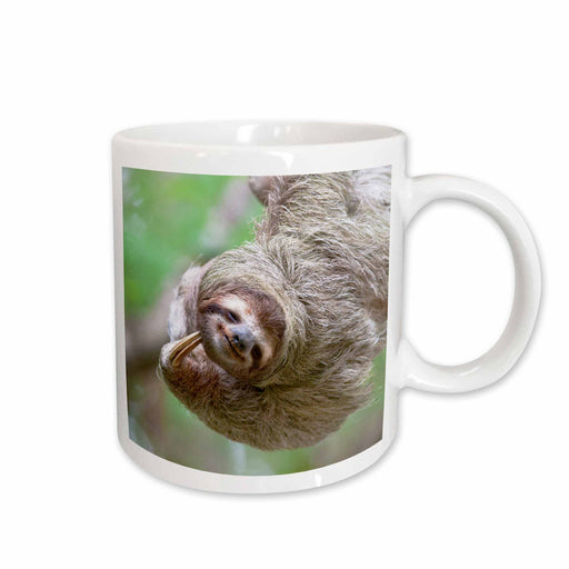 image of 11oz Mug