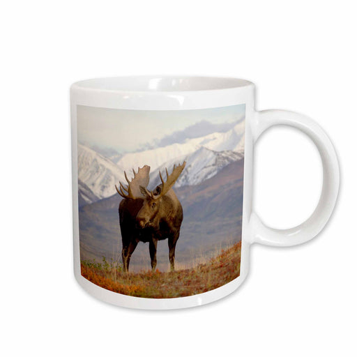 image of 11oz Mug