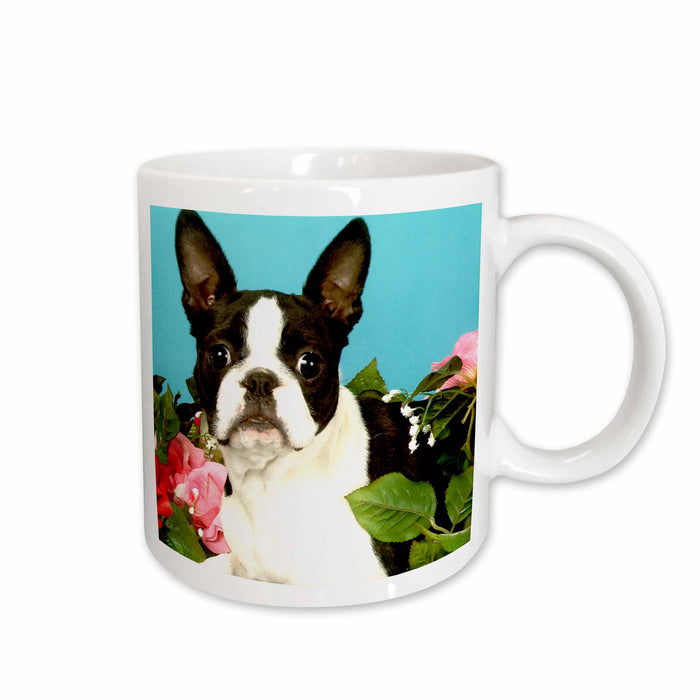 image of 11oz Mug