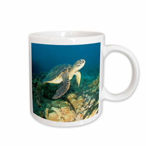 image of 11oz Mug