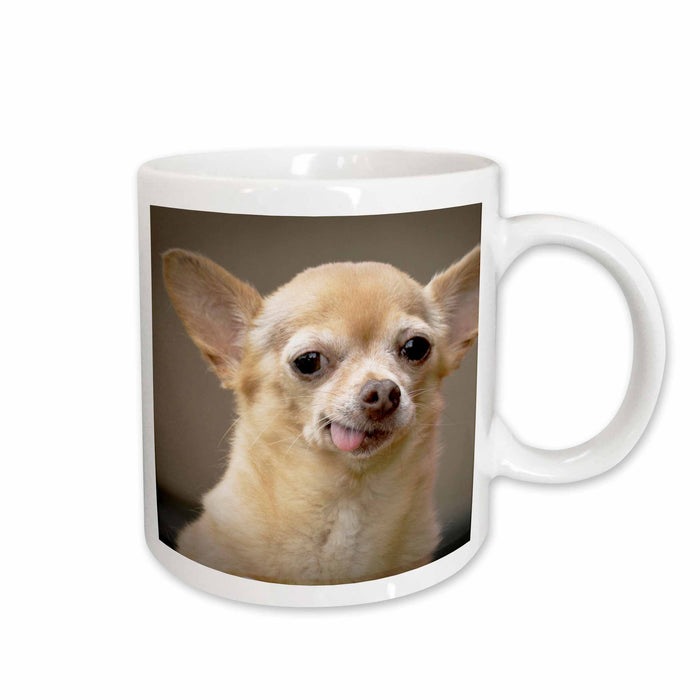 image of 11oz Mug