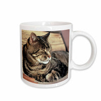 3dRose Utah, Capitol Reef NP. Sleeping tabby cat - US45 RER0114 - Ric Ergenbright - Mugs (mug_94870)