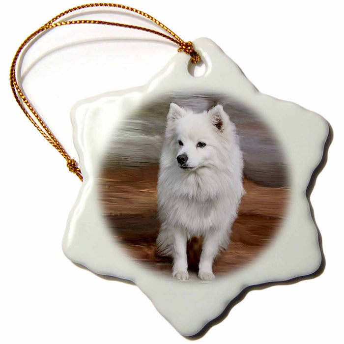 image of 3 inch Snowflake Porcelain Ornament