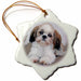 image of 3 inch Snowflake Porcelain Ornament