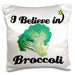 image of 16x16 inch Pillow Case