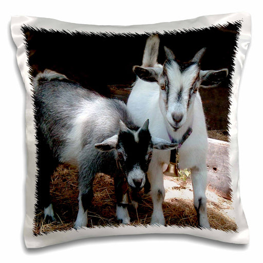 image of 16x16 inch Pillow Case