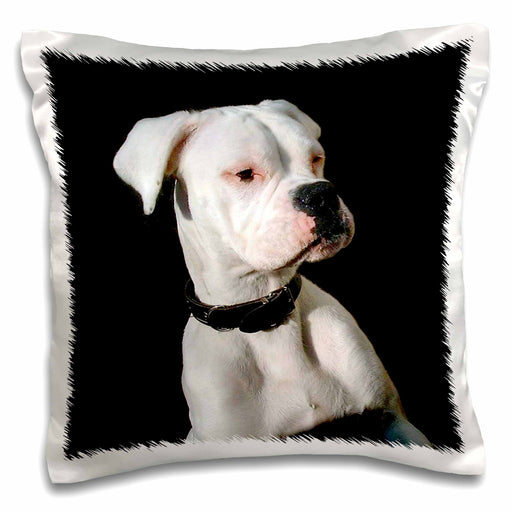 image of 16x16 inch Pillow Case