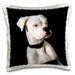 image of 16x16 inch Pillow Case