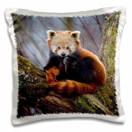 image of 16x16 inch Pillow Case